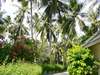 Paradise Island Resort & Spa 
